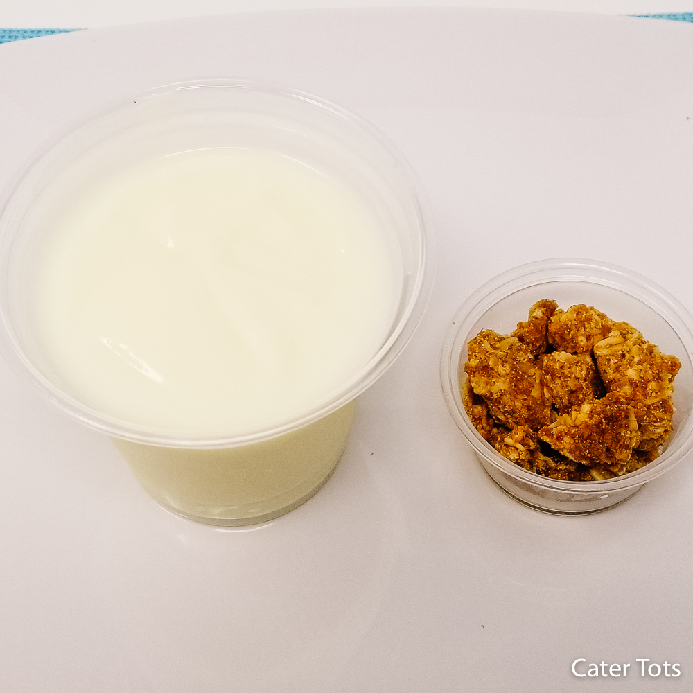 Vanilla Yogurt and Granola